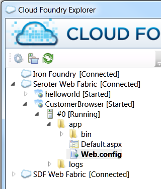 Databases Listed in Cloud Foundry Explorer